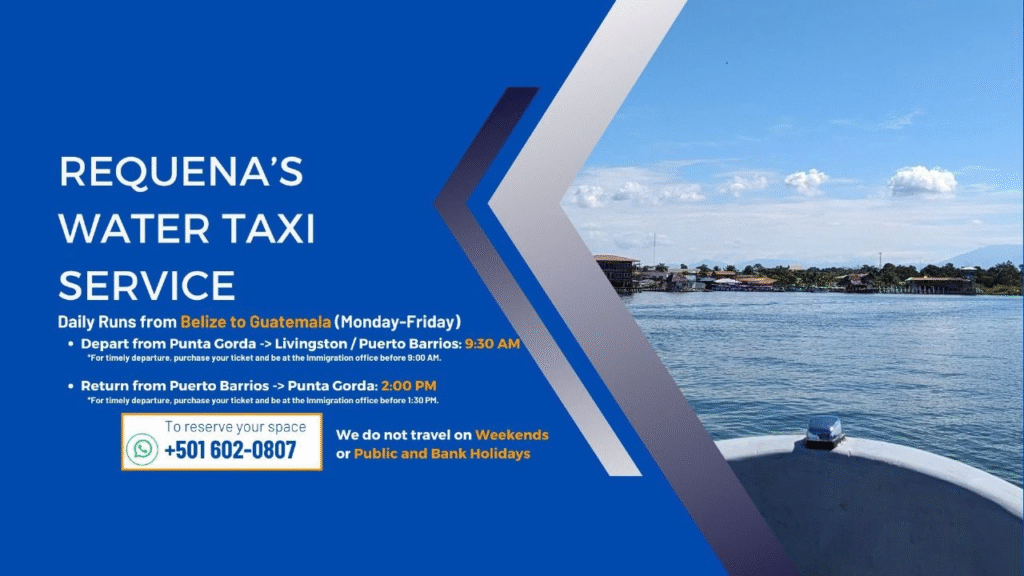 obrázek_2026-03-14_093853011