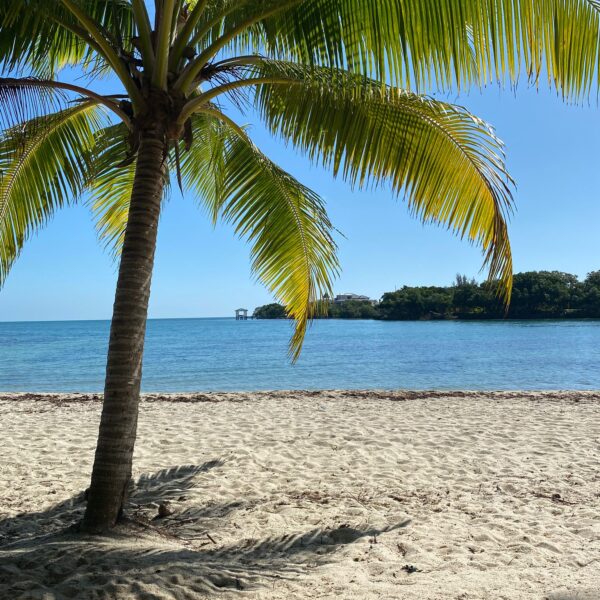 Belize: Jak se dostat z Guatemaly do Belize a procestovat zemi levně